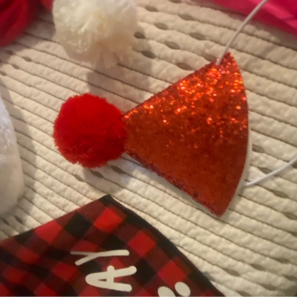 Small Pet Accessory Set - Picture 3 of 5